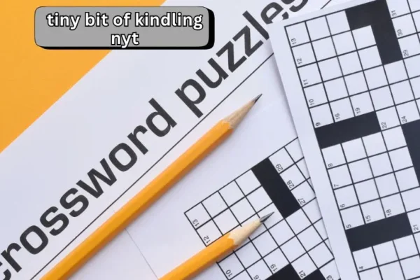 Tiny Bit of Kindling NYT | A Crossword Clue Guide