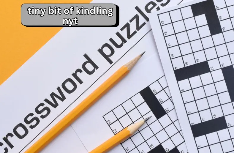 Tiny Bit of Kindling NYT | A Crossword Clue Guide