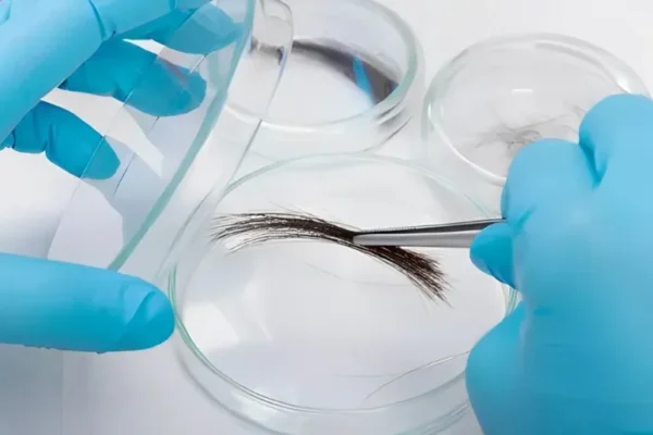 Collecting Hair Samples from Brushes IRB Guidelines Explained