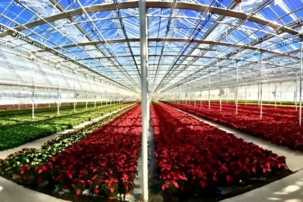 picas greenhouse productions system with business central